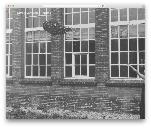 Wp hummingbird WordPress plugin - kathelijnvandongen.com