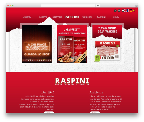 Zero theme WordPress - raspinisalumi.it