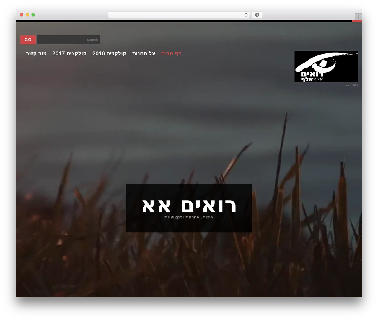 cherry WordPress theme - optica-aa.com