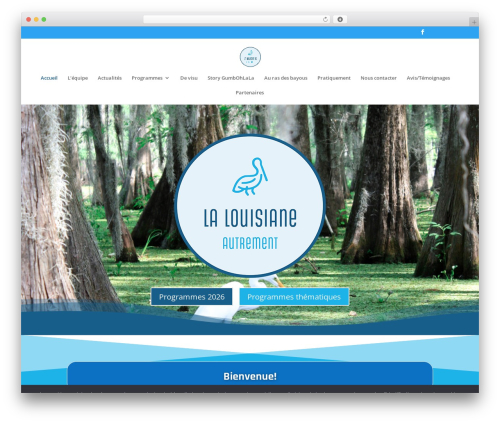 Live Visitor Counter (wp-visitors-widget) free WordPress plugin - lalouisianeautrement.com