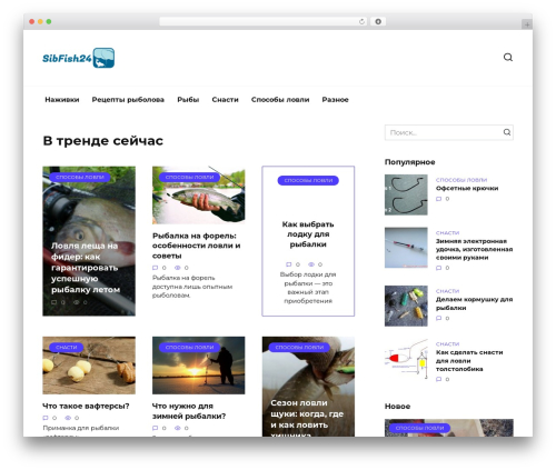Reboot theme WordPress - sibfish24.ru