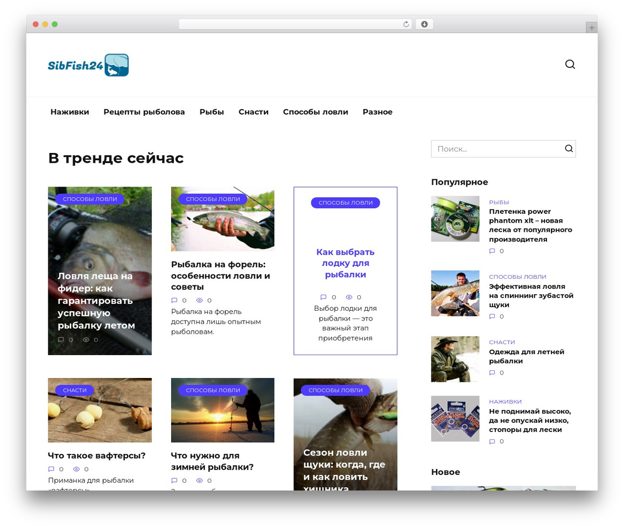 Reboot theme WordPress - sibfish24.ru