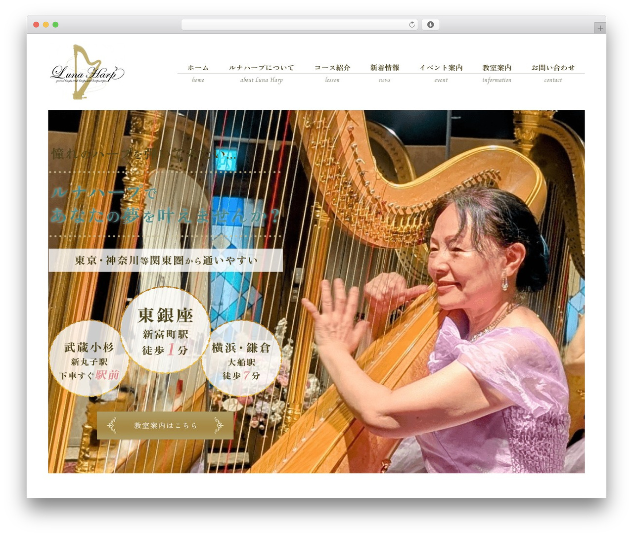 ManaSys premium WordPress theme - luna-harp.com ManaSys premium WordPress theme - luna-harp.com