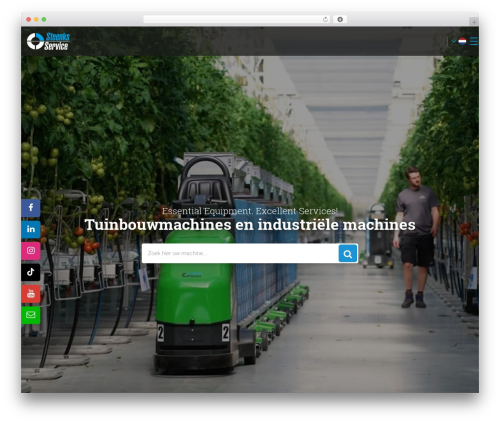 WordPress theme Steenks - steenks-service.nl