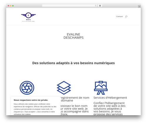 Divi contact form zero spam WordPress plugin - phpdesigner.fr