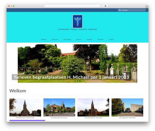 Wp statistics widgets WordPress plugin - begraafplaatsen-h-michael.nl