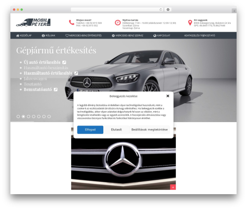 ASSEMBLY THEME (responsive) theme WordPress - mobilpeter.hu