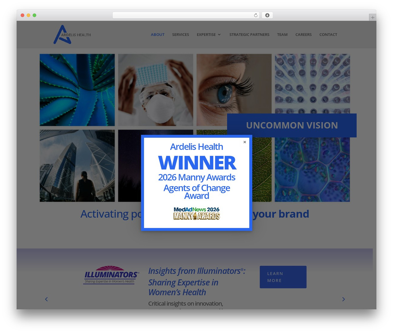 Divi theme WordPress - ardelishealth.com Divi theme WordPress - ardelishealth.com