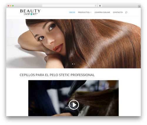 Divi theme WordPress - stetic.cl