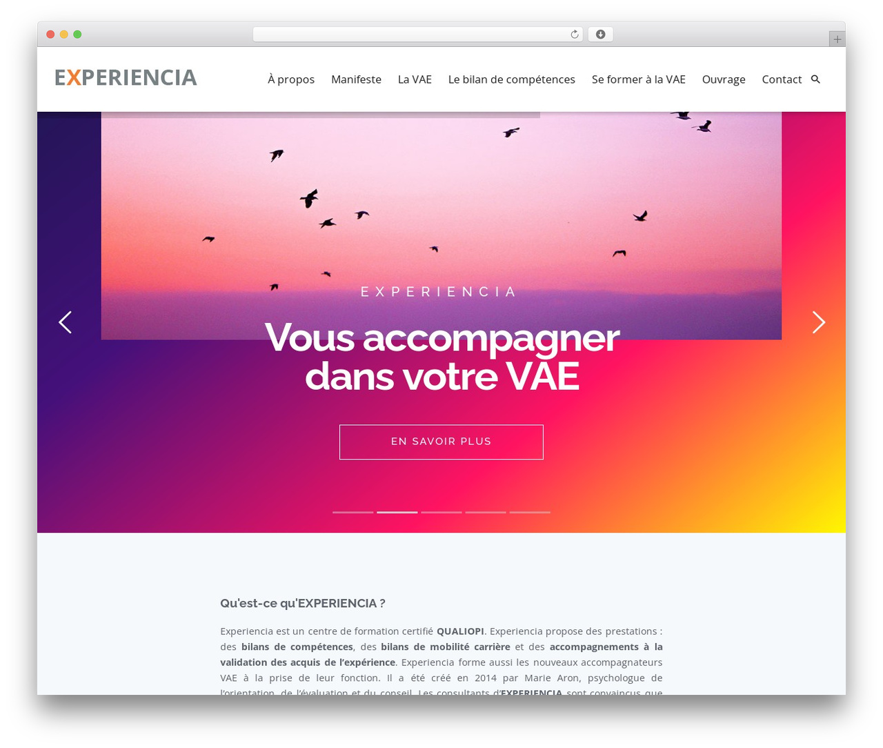 Materialize theme WordPress - experiencia.fr
