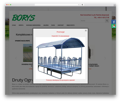 Product price history WordPress plugin - pwborys.pl