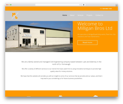 WebsiteNI Theme WordPress theme - milliganbrosltd.com