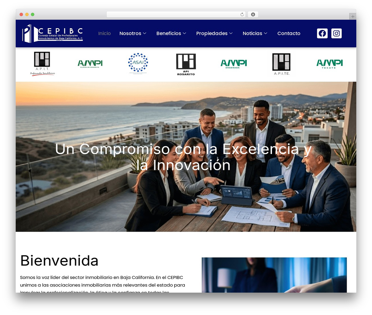 WordPress theme Hello Elementor - cepibc.org