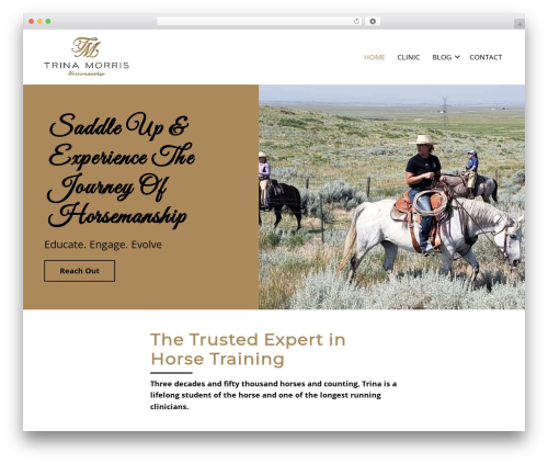 Pws core WordPress plugin - yourinnercowgirl.com
