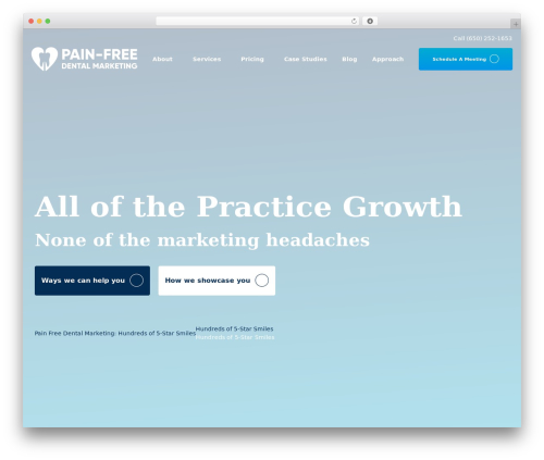 WordPress theme PFDM website theme - www.painfreedentalmarketing.com