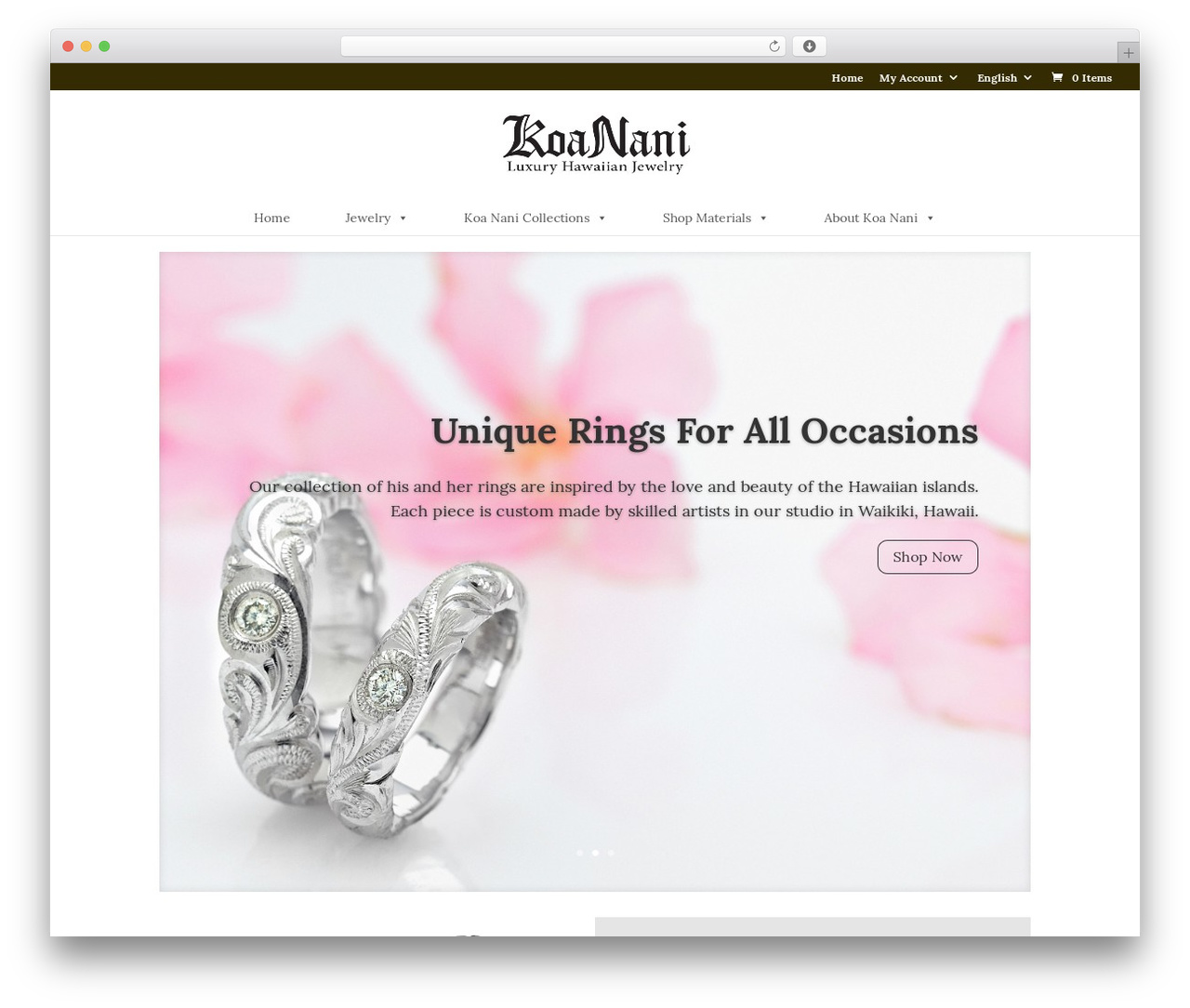 Divi theme WordPress - koanani.com