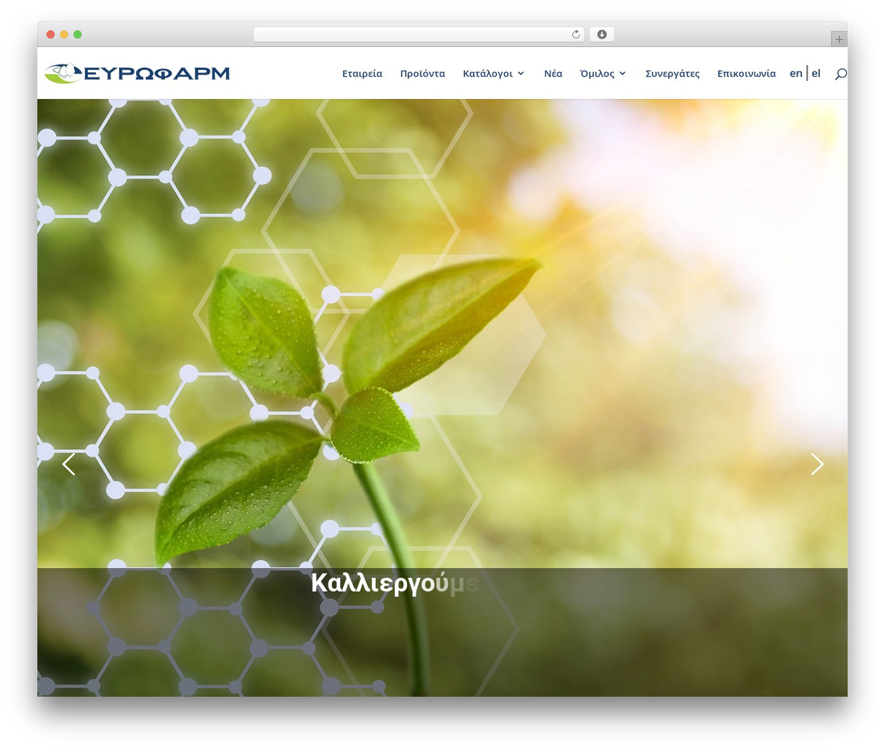 Divi WordPress theme - eurofarm.gr