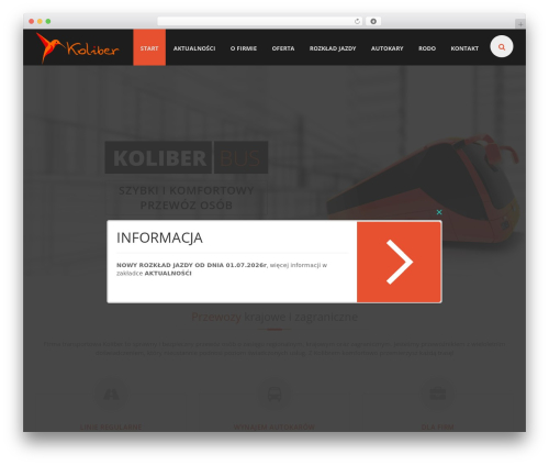EXCEPTION WordPress theme - koliber-bus.pl