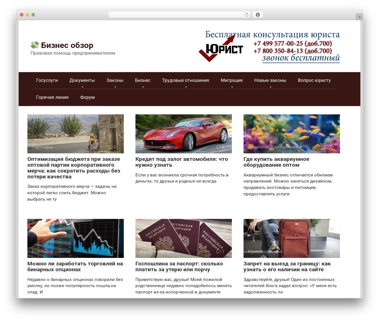Root top WordPress theme - biznessobzor.ru