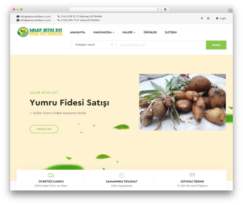 Theme WordPress Ogami - salepbitkievi.com