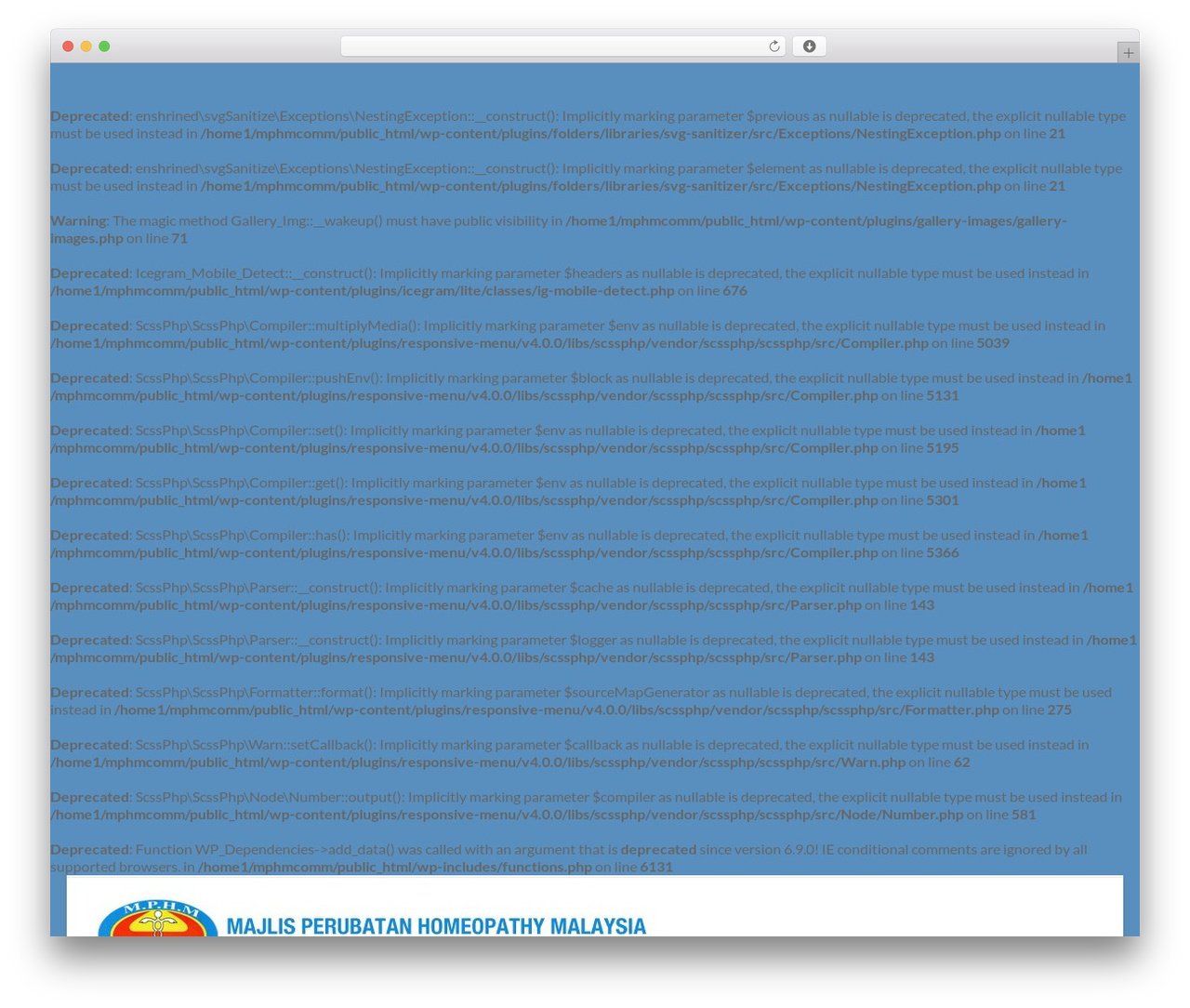 Theme WordPress Spacious - mphm.com.my