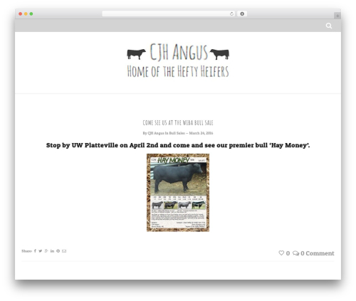WordPress theme Cherry - cjhangus.com