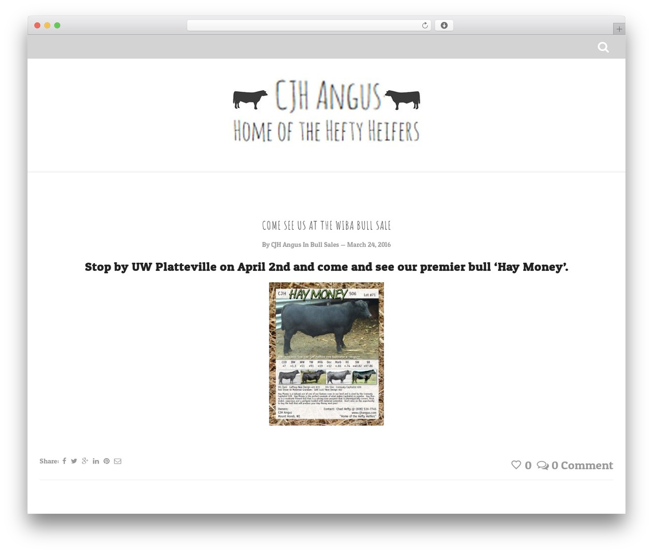 WordPress theme Cherry - cjhangus.com