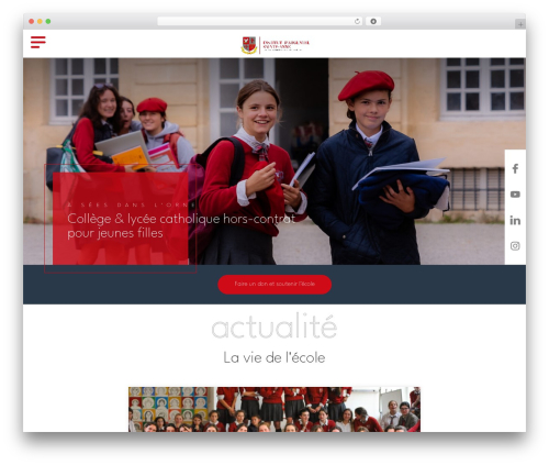 WordPress theme Infocob Web Theme - institutdargentre.com