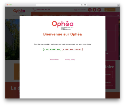 Net.Com WordPress theme - www.ophea.fr