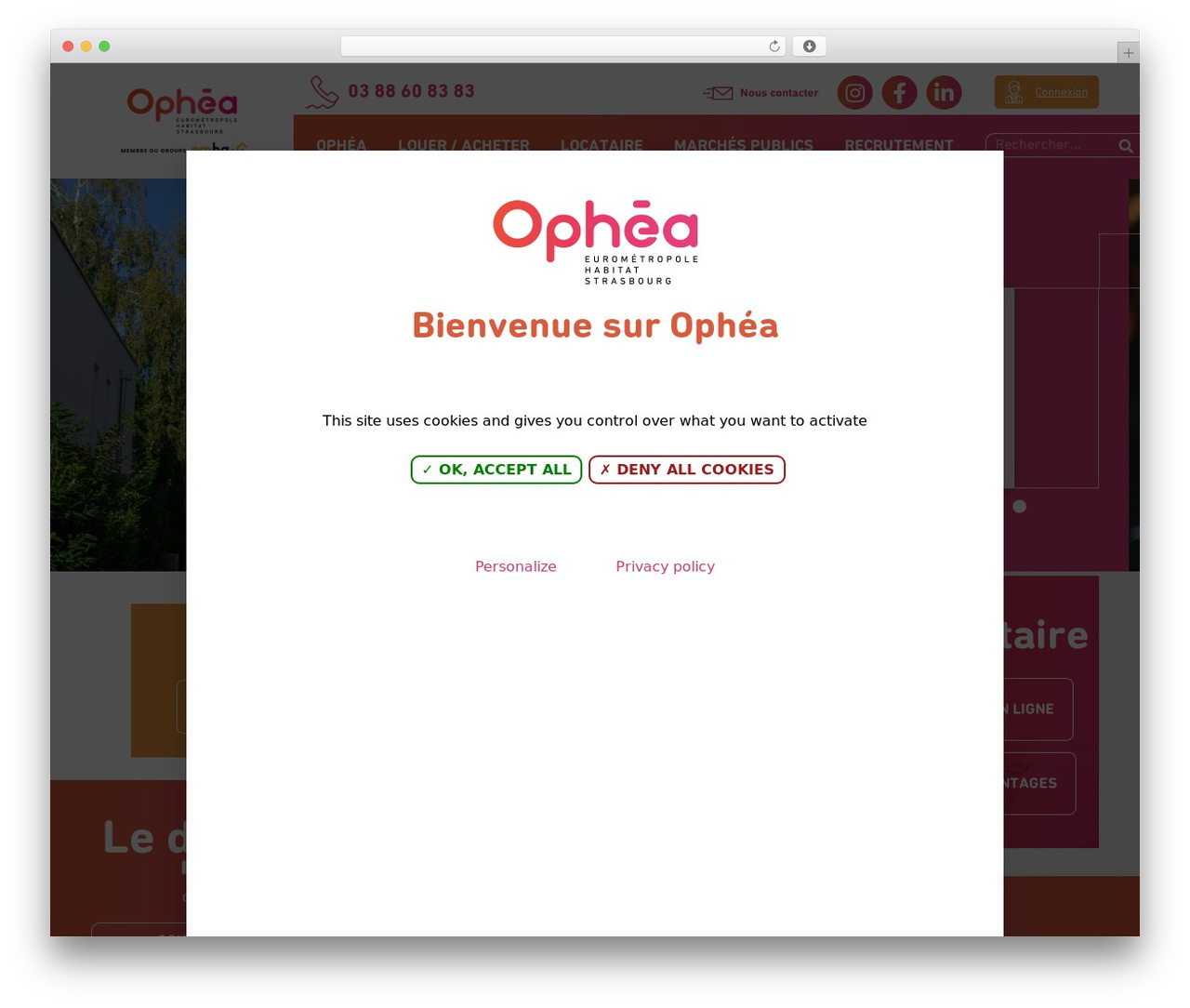 Net.Com WordPress theme - www.ophea.fr Net.Com WordPress theme - www.ophea.fr