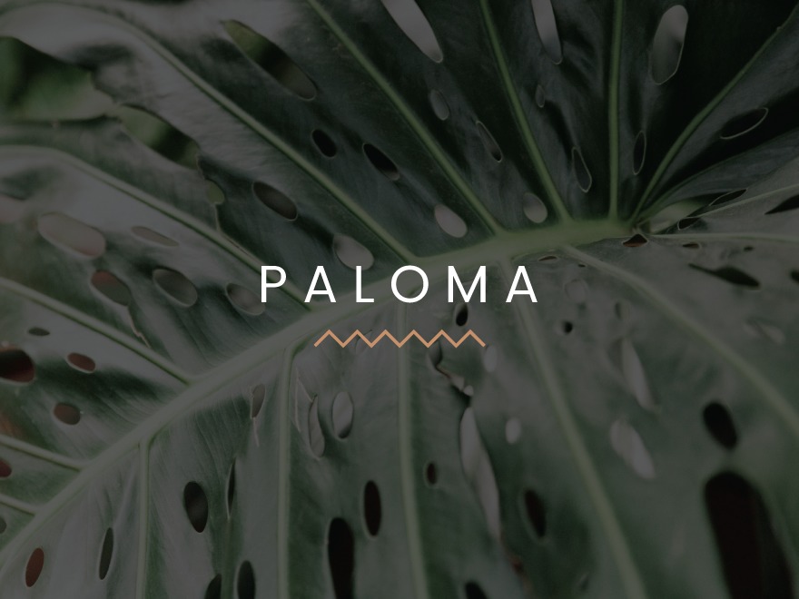 Paloma WordPress theme