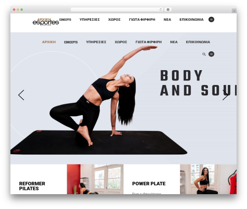 Prowess bmi calculator WordPress plugin - esportes.gr