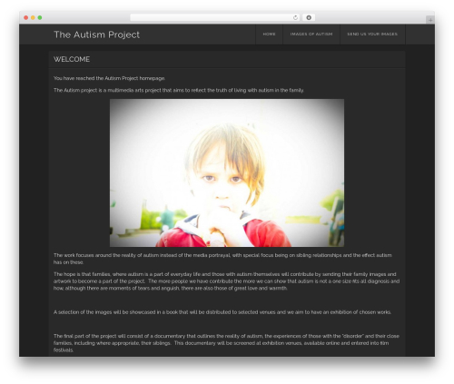 Website contact form with file upload WordPress plugin - truthaboutautismproject.com