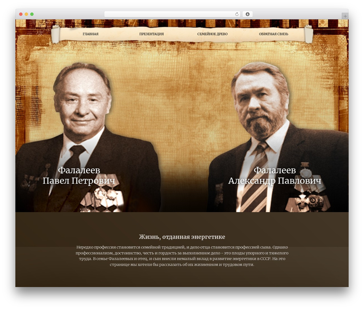 bio WordPress theme - falaleev.net