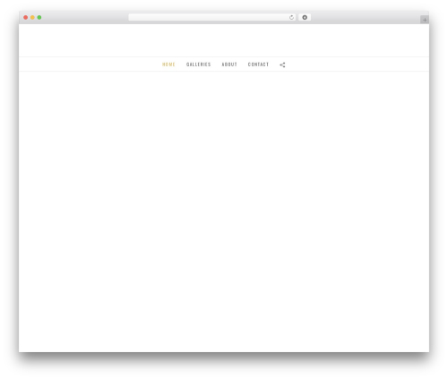 Flatbase WordPress theme design - dondempseyphoto.com
