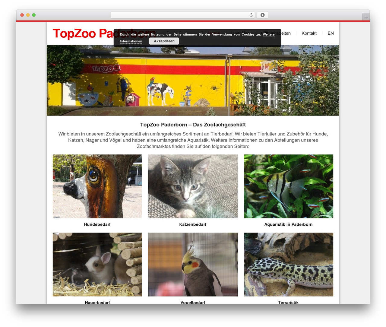 WordPress theme Time - topzoo-paderborn.de WordPress theme Time - topzoo-paderborn.de
