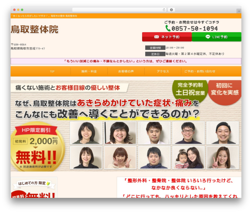 WordPress theme Selfull - tottori-seitai.net