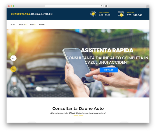 Autoresq WordPress theme design - consultanta-dauna-auto.ro