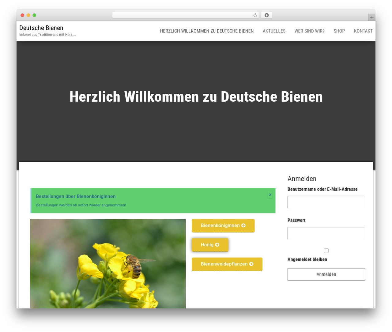 Bulk WordPress theme - deutschebienen.de Bulk WordPress theme - deutschebienen.de