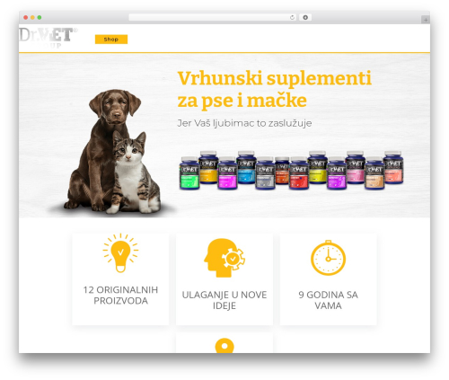 Divi theme WordPress - drvetgroup.com