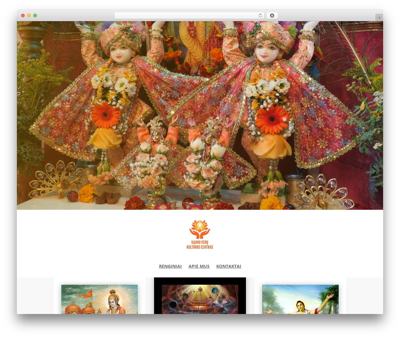 Divi WordPress theme - veducentras.lt