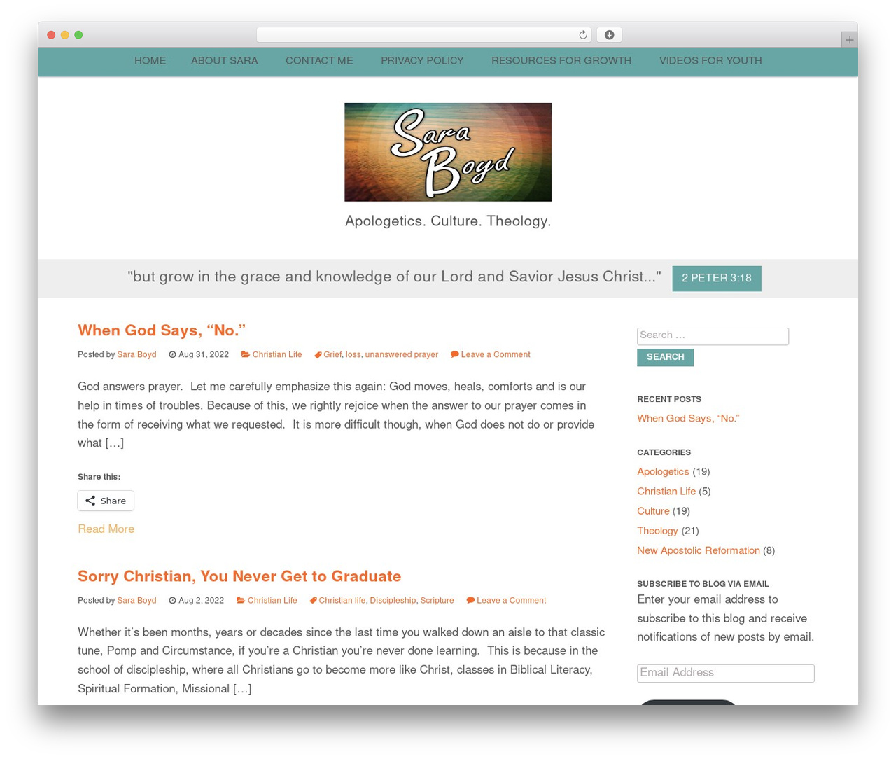 Nectar best WordPress theme - saraboyd.org