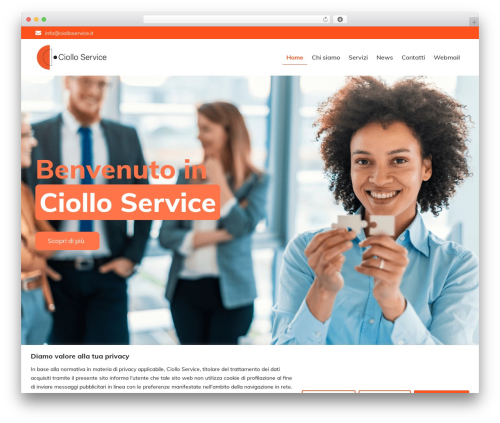 Techno WordPress theme - ciolloservice.it