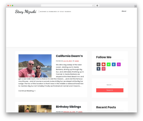 Theme WordPress Amazorize - stacymizrahi.com