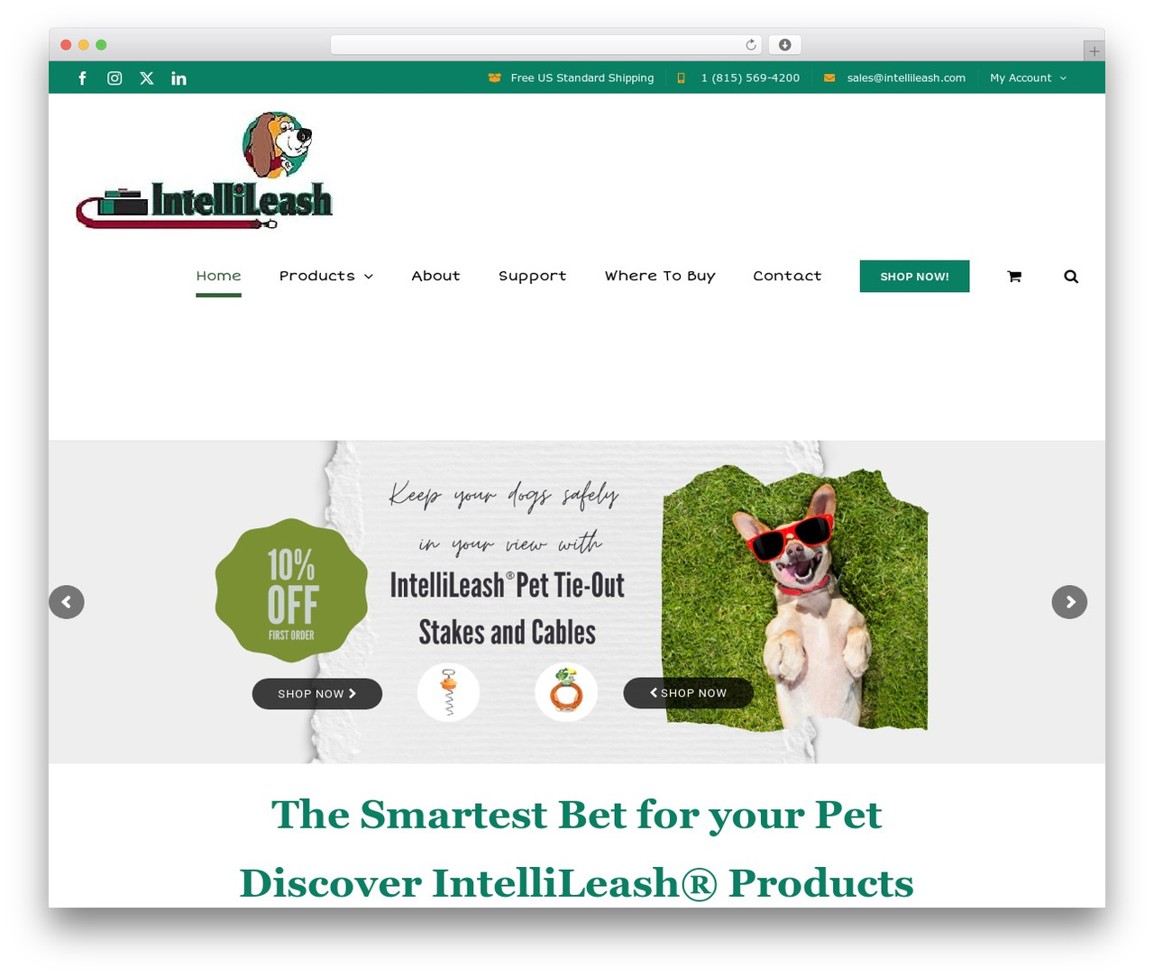 Avada theme WordPress - intellileash.com