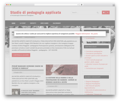 Dynamic News Lite WordPress theme - studiodipedagogia.net