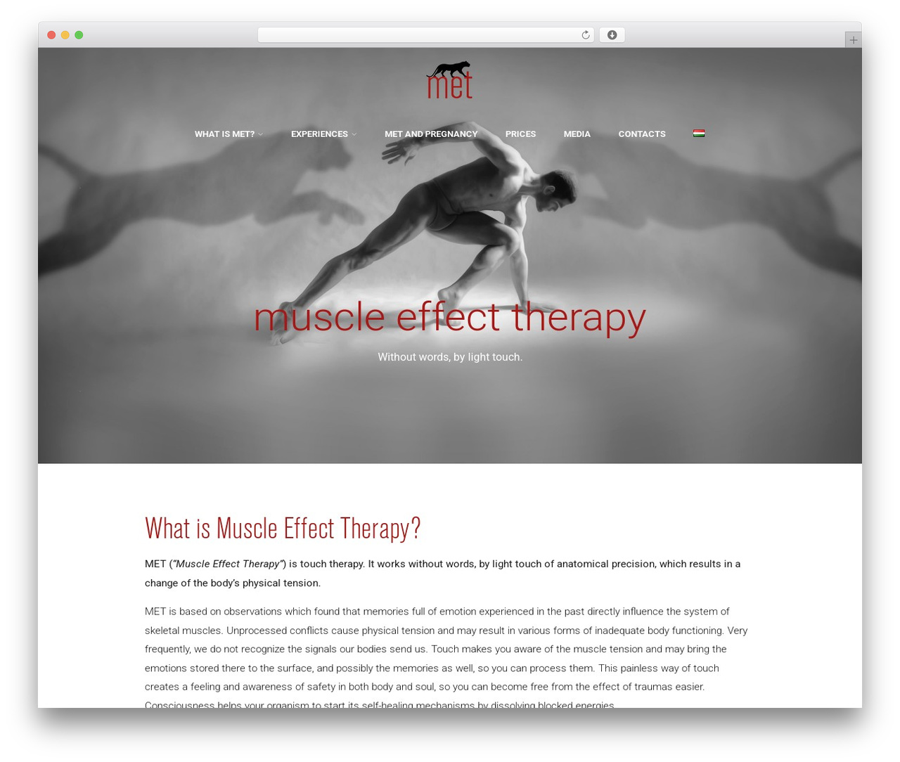 Optimizer PRO best WordPress theme - metterapia.hu Optimizer PRO best WordPress theme - metterapia.hu