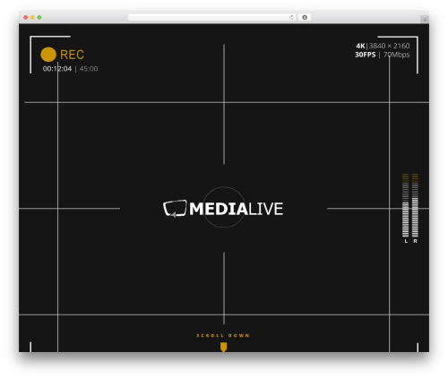 Silverscreen top WordPress theme - medialive.at