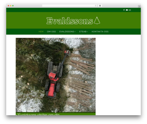 Simple elegant addons WordPress plugin - evaldssons.com