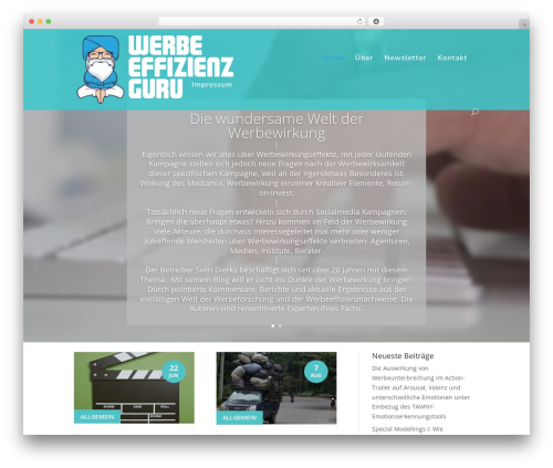 Newsletter2Go free WordPress plugin - werbeeffizienz.guru